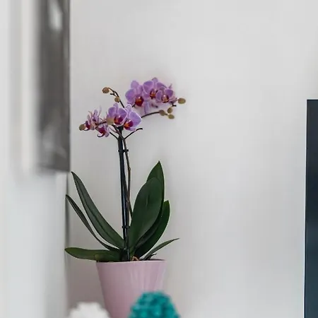 I Balconi Di Porta Mazara Bed & Breakfast